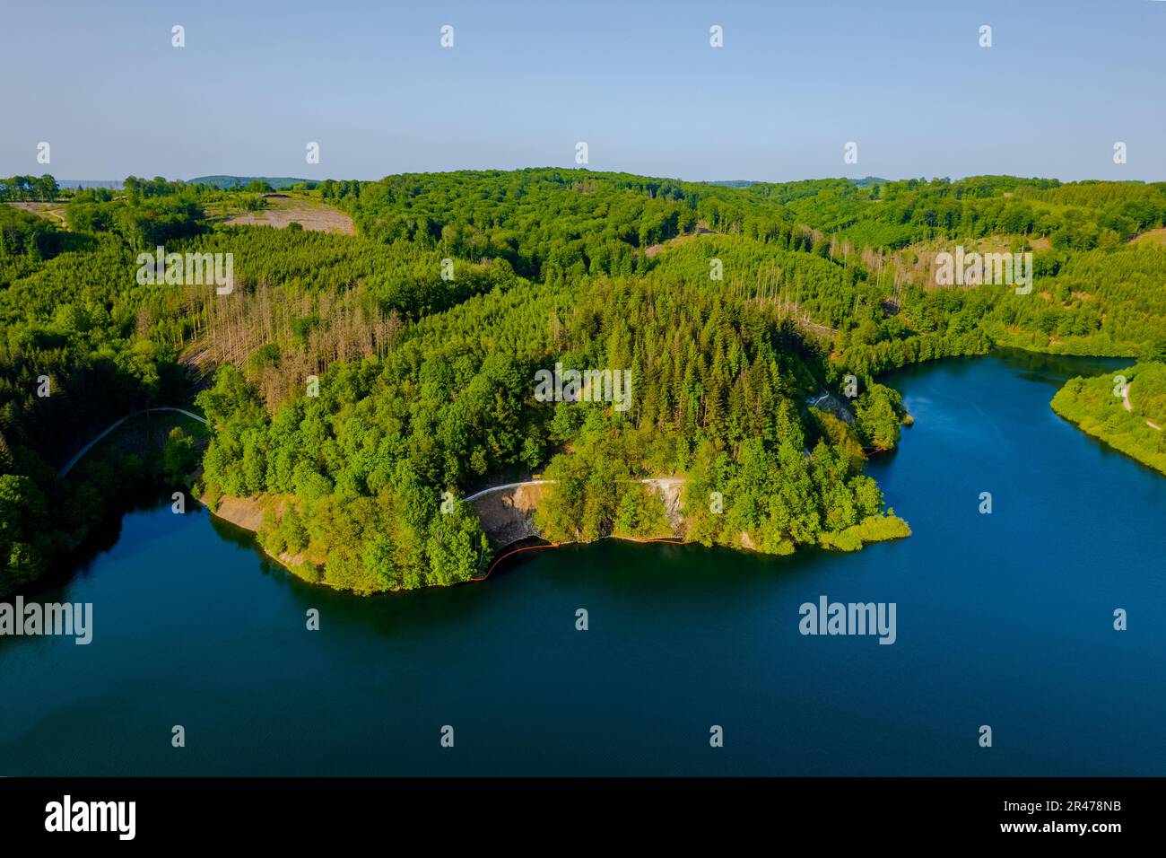 Aerial view of green summer forest and blue lake, landscape Stock Photo ...