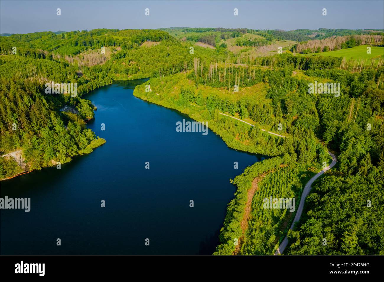 Aerial view of green summer forest and blue lake, landscape Stock Photo ...