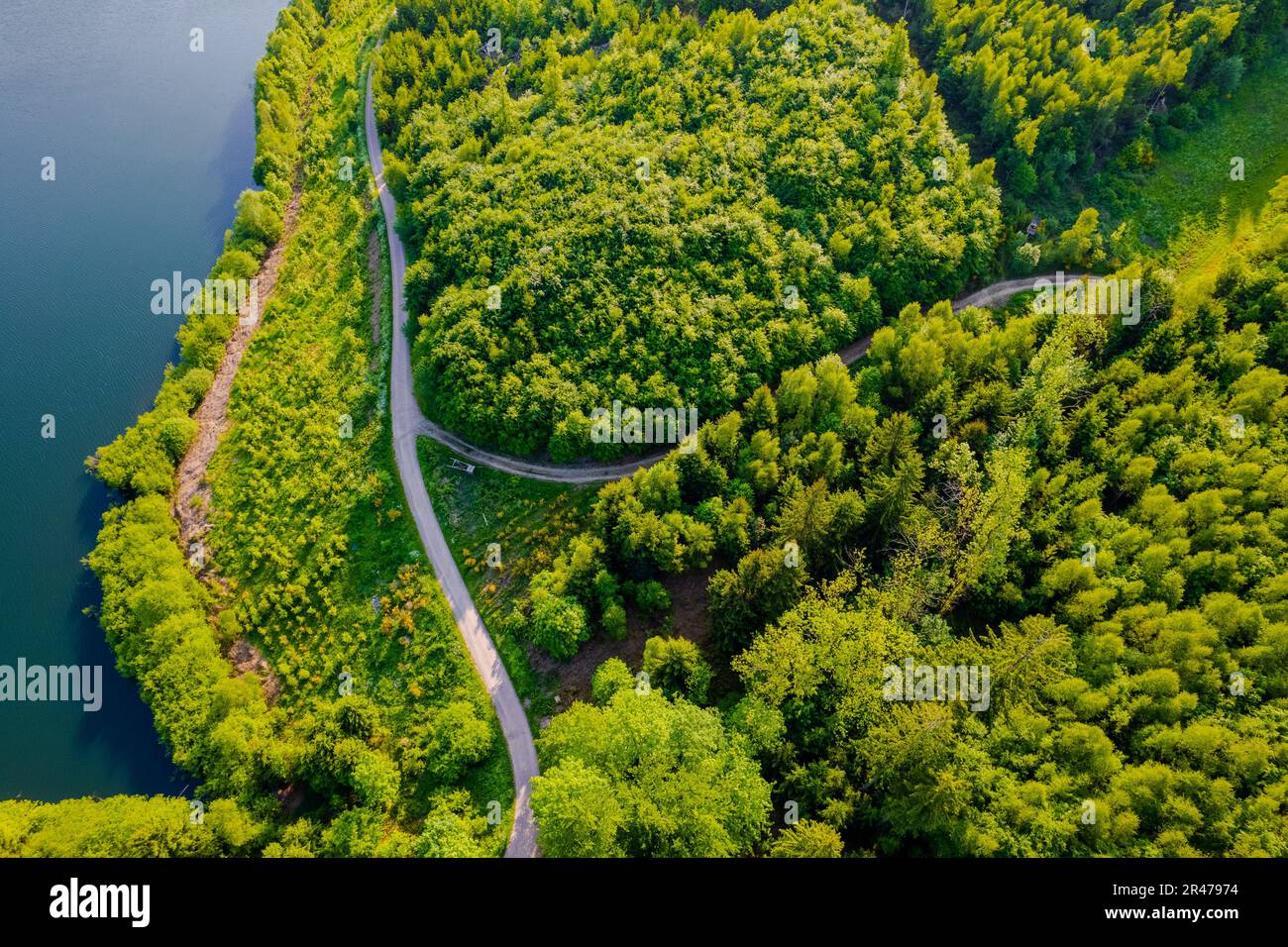 Aerial view of green summer forest and blue lake, landscape Stock Photo ...