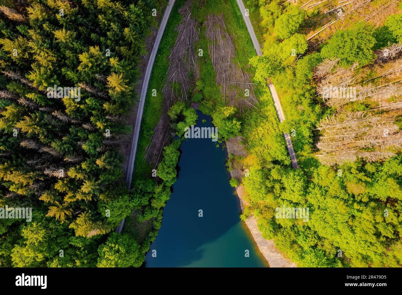 Aerial view of green summer forest and blue lake, landscape Stock Photo ...