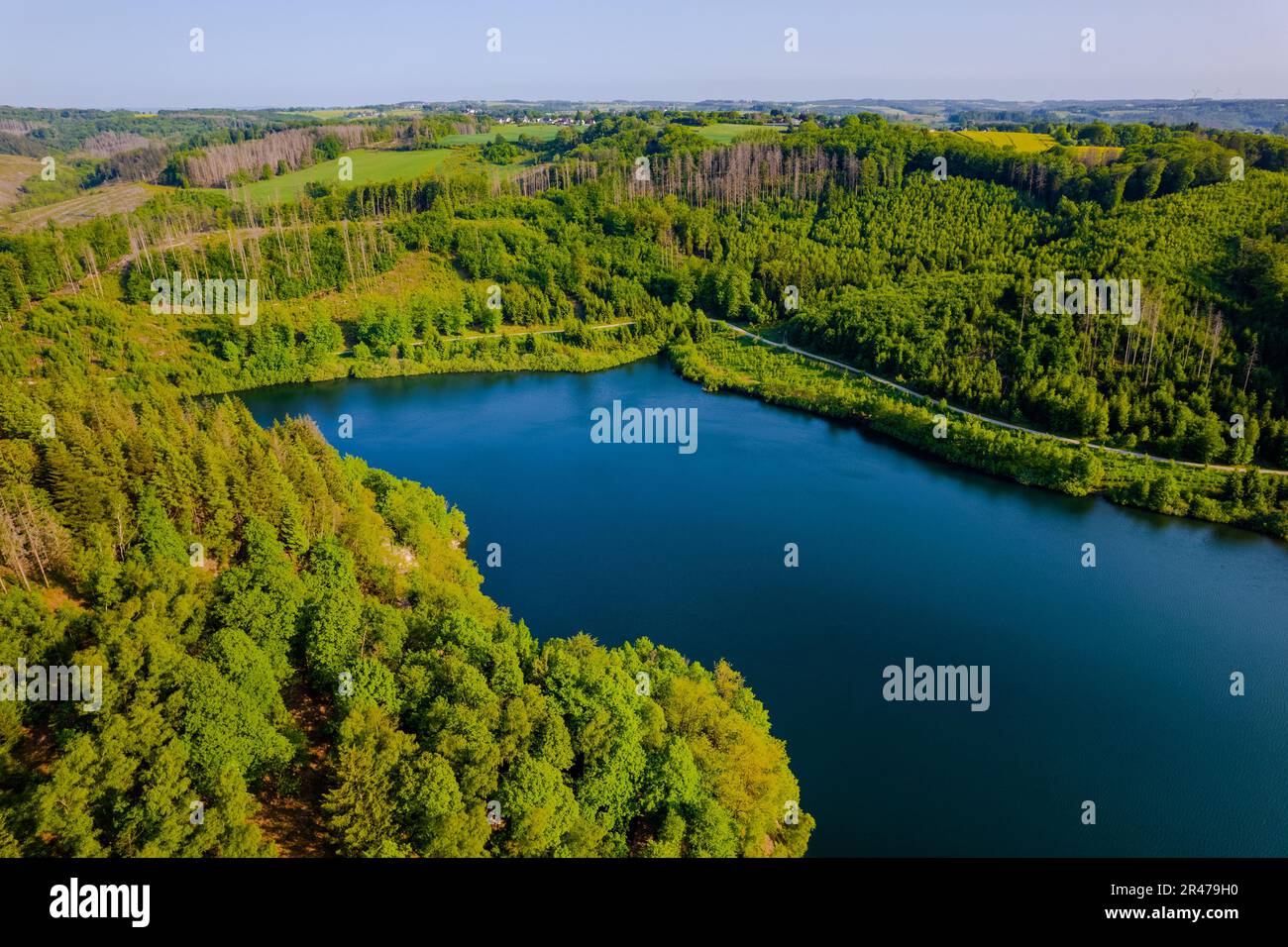 Aerial view of green summer forest and blue lake, landscape Stock Photo ...