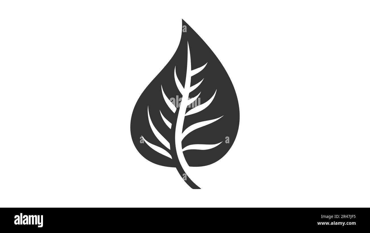 Eco icon black leaf vector illustration isolated on white background ...