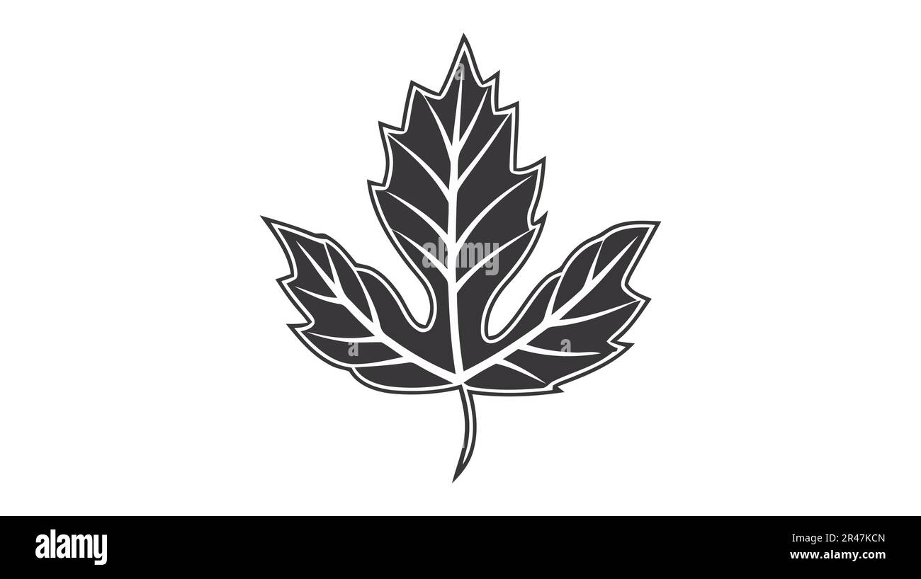 Eco icon black leaf vector illustration isolated on white background ...
