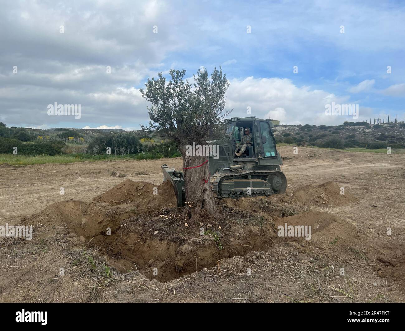 MARI, Cyprus (Mar. 15, 2023) Equipment Operator 3rd Class devonte Catapang, from Tanuning, Guam, assigned to Naval Mobile Construction Battalion (NMCB) 1. Operates D6 Dozer to remove dirt around the base of the tree to properly de-root the tree to be able to safely relocate host nation olive trees. NMCB 1 operates as a part of Navy Expeditionary Combat Command and is assigned to Commander, Task Force 68 for deployment across the U.S. Naval Forces Europe-Africa area of operations to defend U.S., allied, and partner interests. Stock Photo