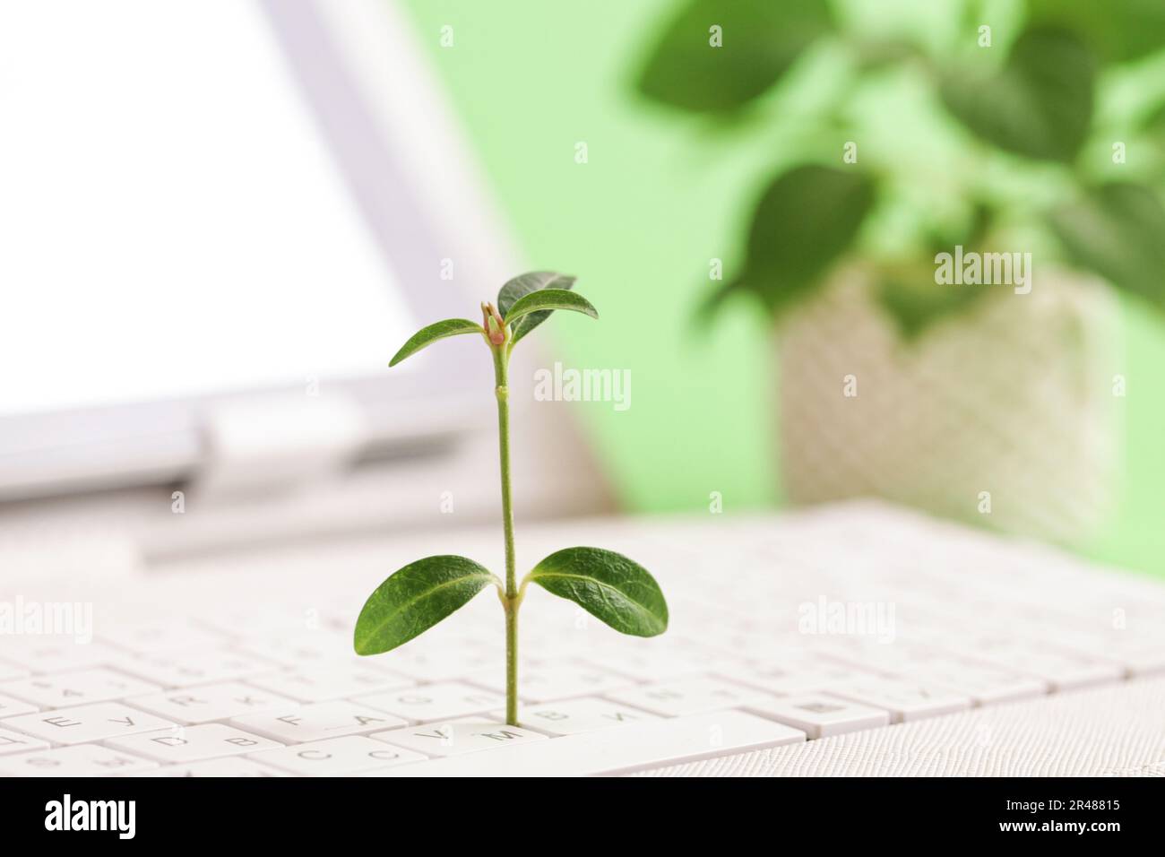 Green Information Technology Green Information Technology Environmentally Sustainable It Green Green Information Technology Green Information Technology Environmentally Sustainable It Green