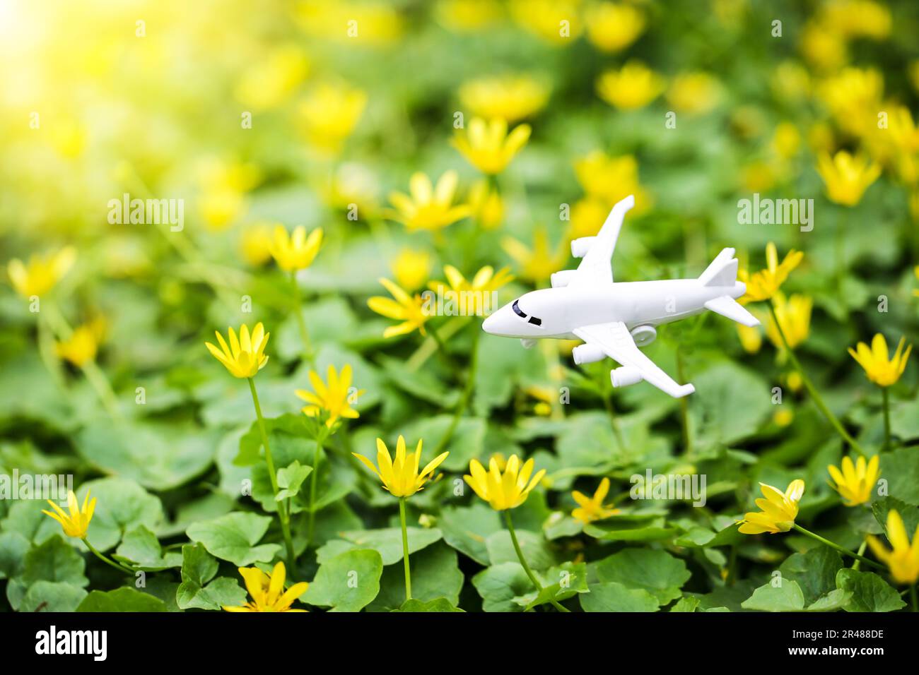 White airplane on flower fresh green leaves background. Sustainable travel. Clean green energy, biofuel for aviation industry. Sustainable aviation Stock Photo