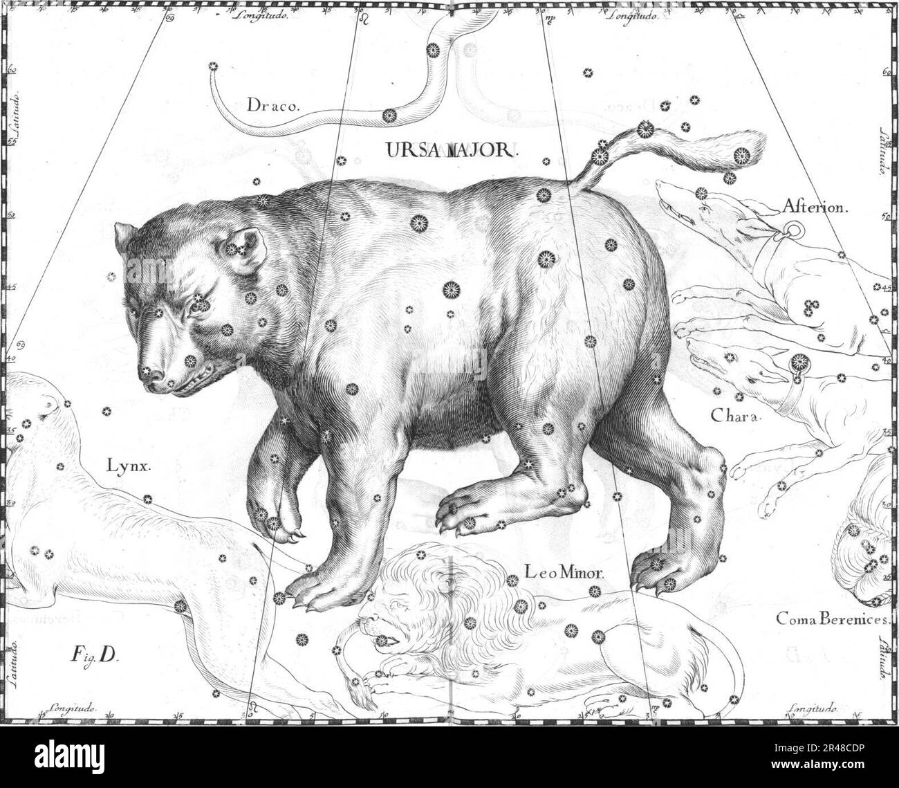 Ursa Major constellation Hevelius Stock Photo