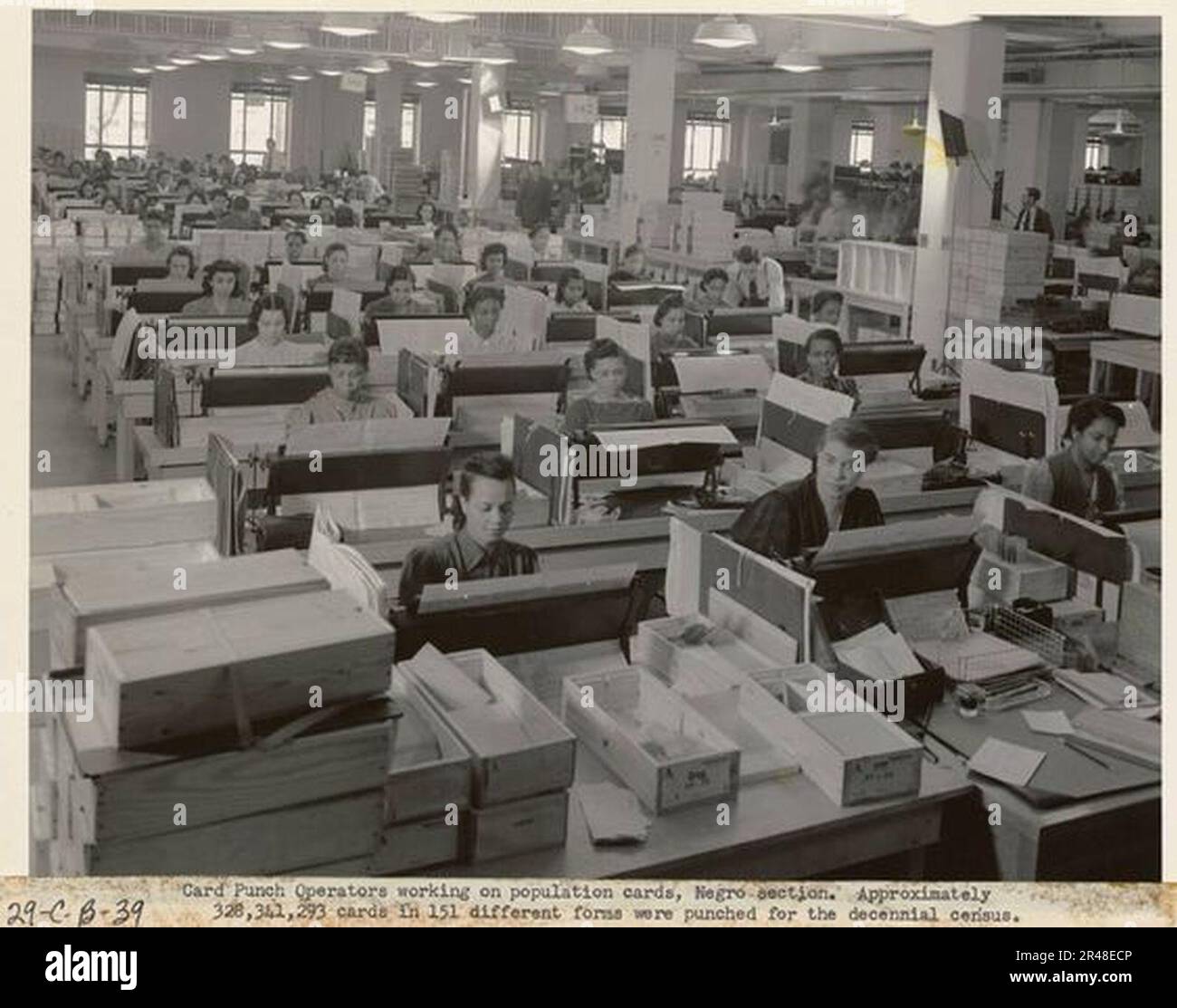 US Census Bureau keypunch operators, Negro section Stock Photo - Alamy