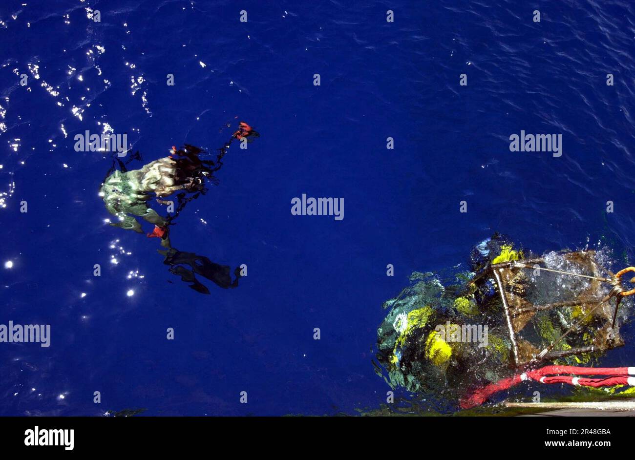 US Navy Navy photographerdiver at work Stock Photo Alamy