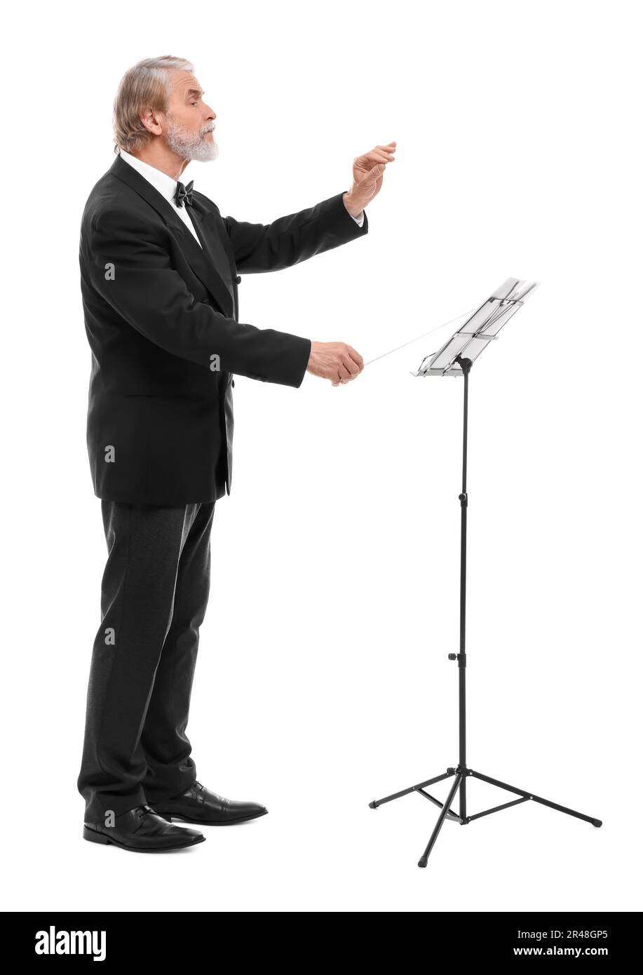 Professional conductor with baton on white background Stock Photo Alamy