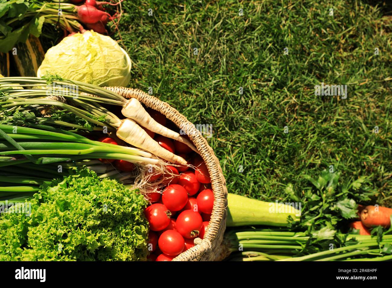 Different fresh ripe vegetables on green grass, flat lay. Space for ...