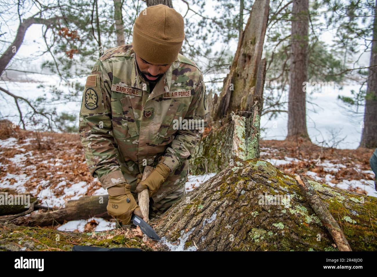 U.S. Air Force Staff Sgt. David Barksdale, of the 290th Joint Communications Support Squadron, sharpens a stick into a stake Feb. 9, 2023, at Alpena Combat Readiness Training Center, Michigan. Airmen from the 290th JCSS are attending a class led by Survival, Evasion, Resistance and Escape (SERE) specialists to teach them basic survival techniques in a cold weather environment. Stock Photo