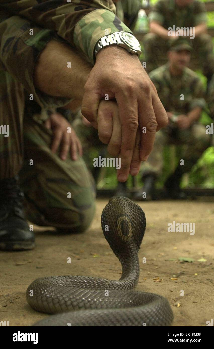 US Navy Thai Military Jungle Survival Training Stock Photo Alamy