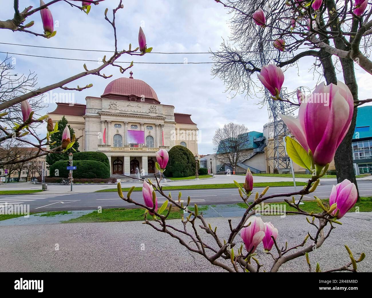 Exterior of Opera House building seen through magnolia flowers, in the city center of Graz, Steiermark region, Austria. Selective focus Stock Photo