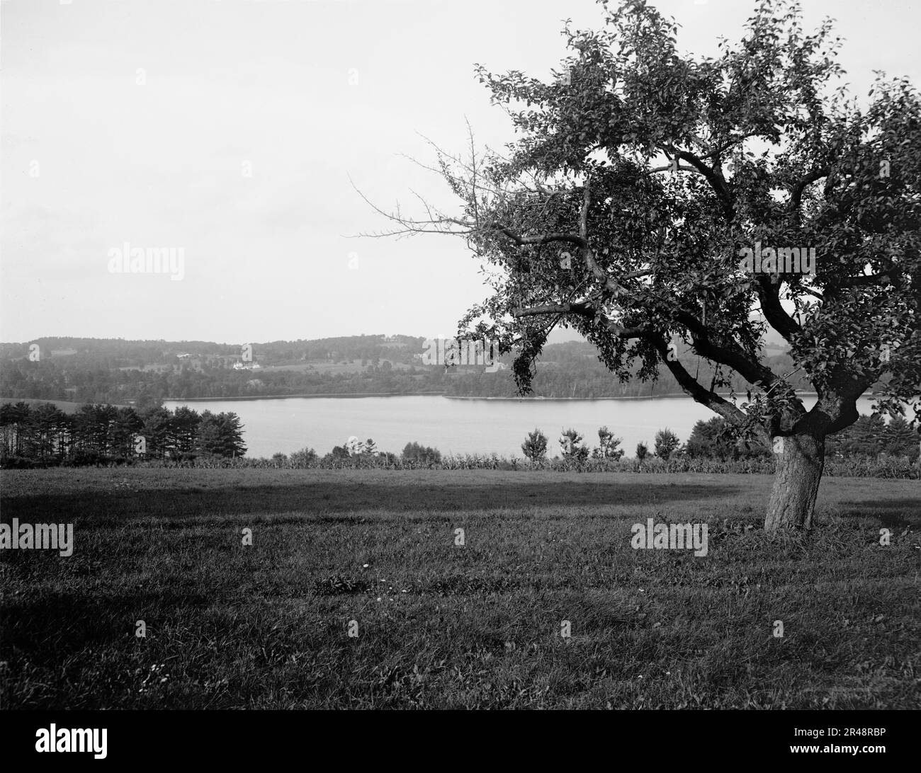 Laurel Lake, Westinghouse estate, Lenox, Mass., between 1910 and 1920