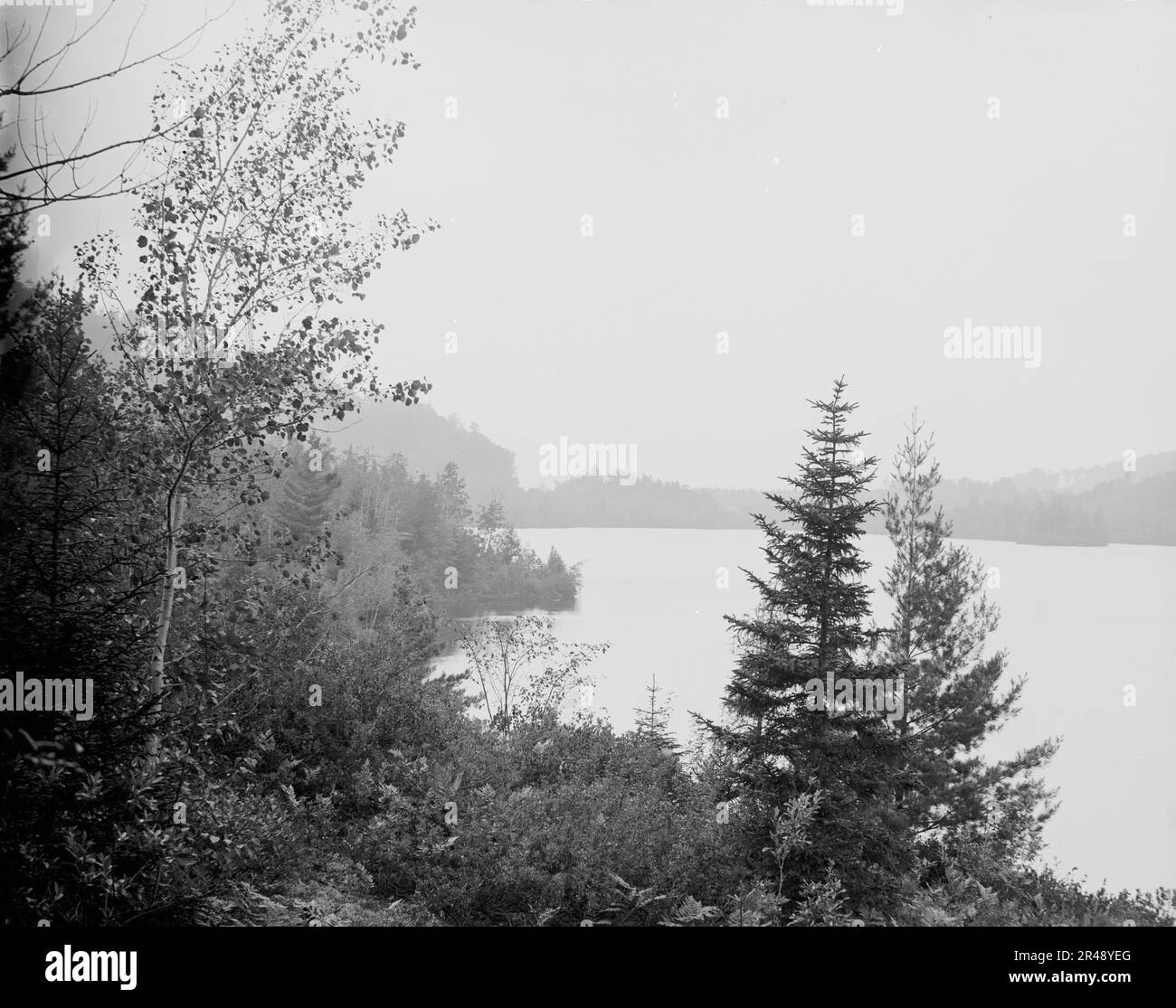 Lower Loon Lake, Adirondack Mts., N.Y., between 1900 and 1910 Stock