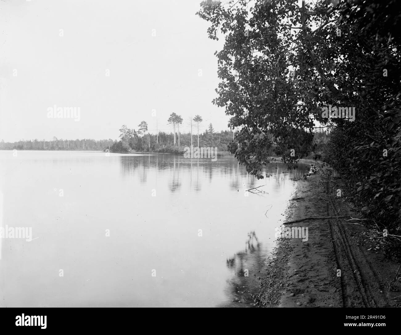 White Bass Lake near Gordon's, Wis., c1898 Stock Photo - Alamy