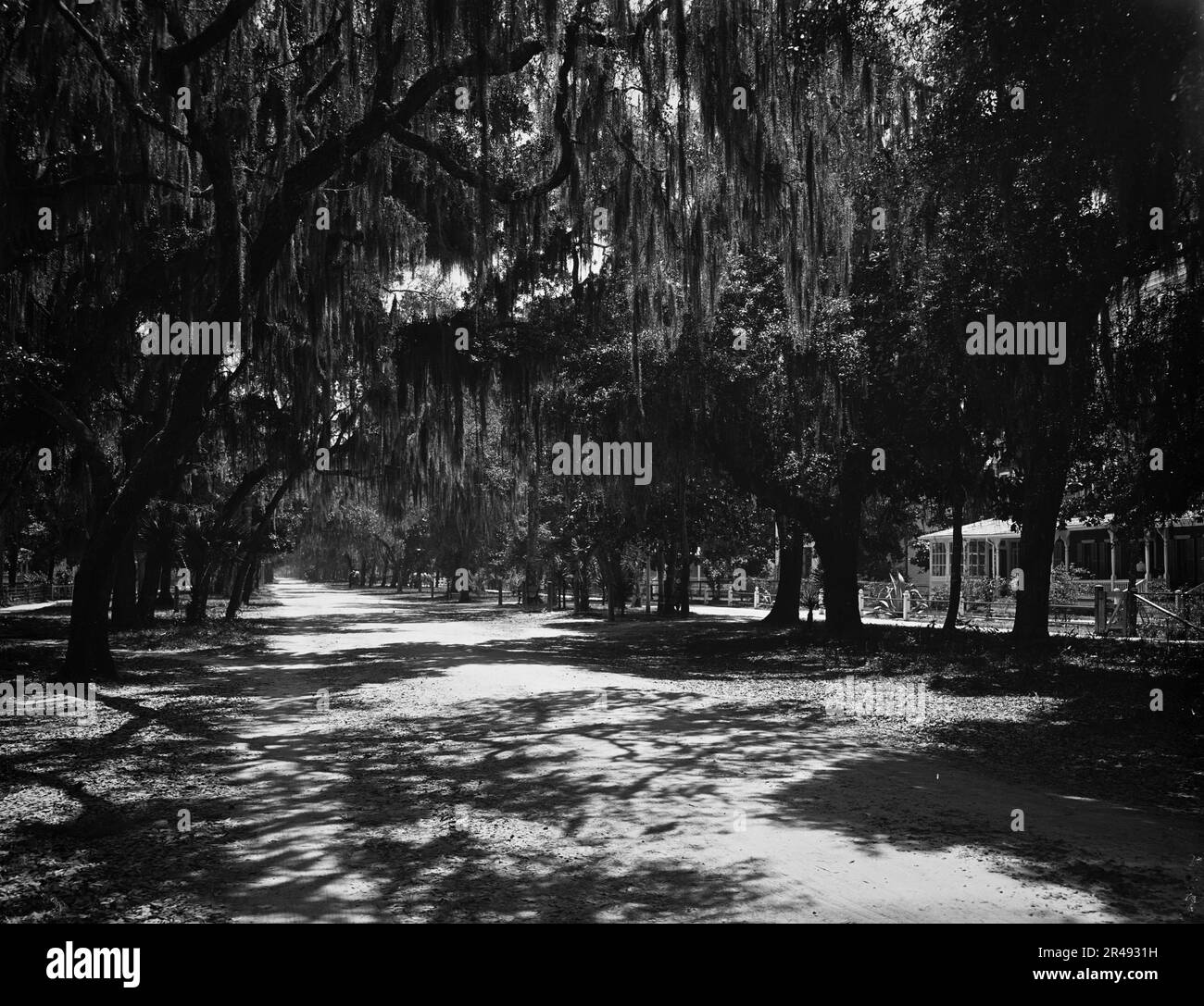 Ridgewood avenue Black and White Stock Photos & Images - Alamy