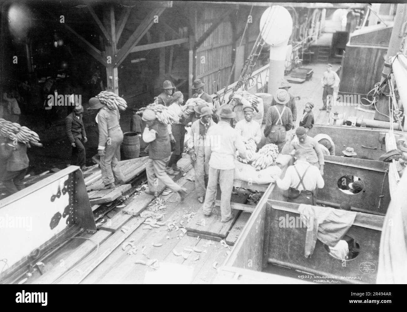 Unloading bananas, Mobile, Ala., c1906. Stock Photo