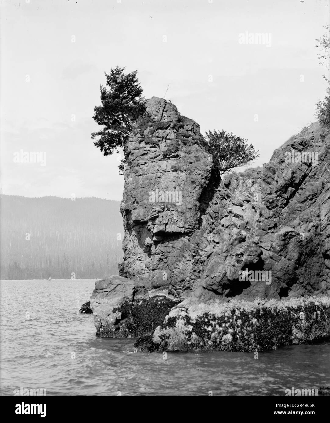 Photo postcard Coal Harbor and Stanley Park, Vancouver B.C. c. 1920 Photo postcard Coal Harbor and Stanley Park, Vancouver B.C. c. 1920