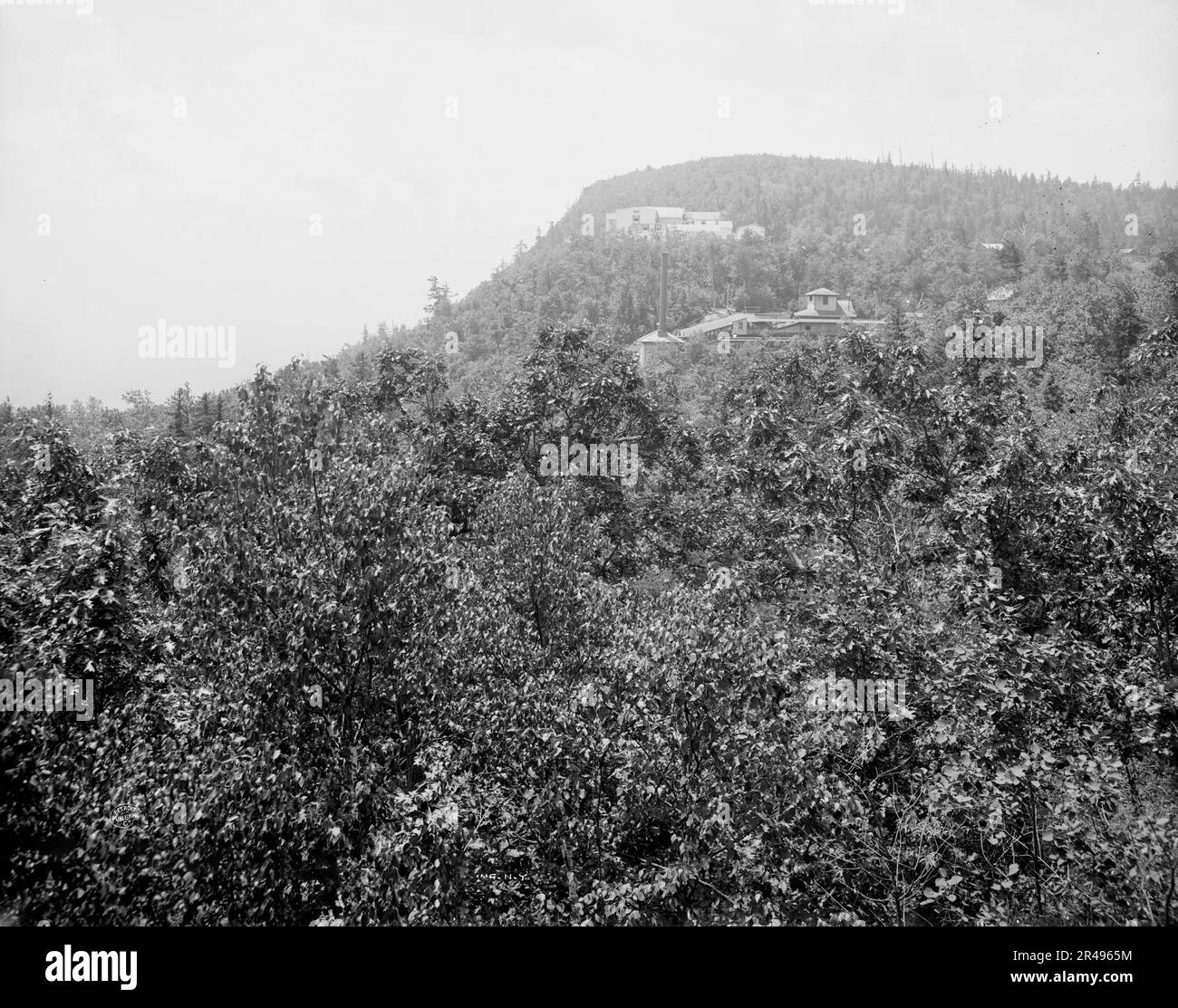 Catskill Realestate