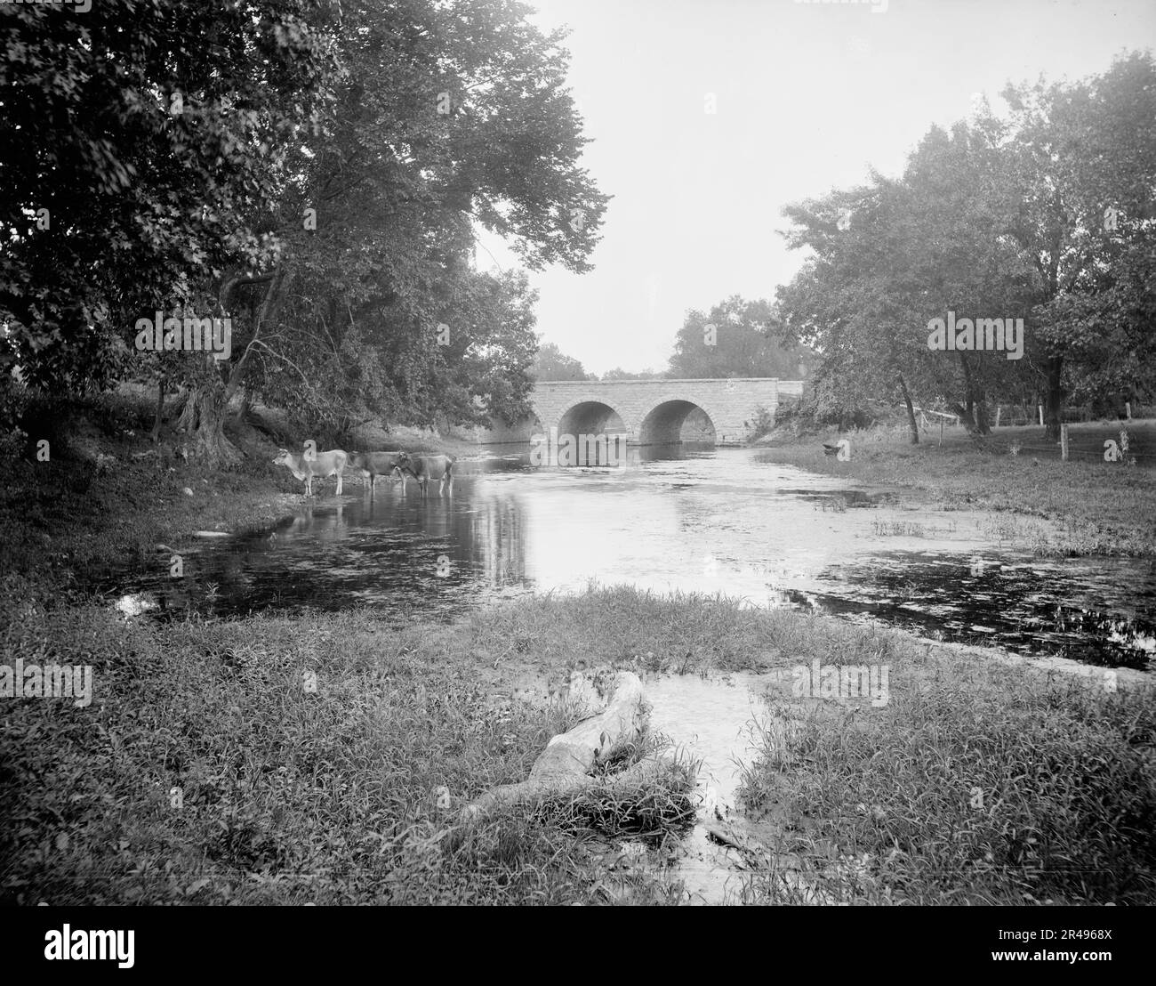 Robson's Bridge, Wilmington, Ill., between 1900 and 1906. Stock Photo
