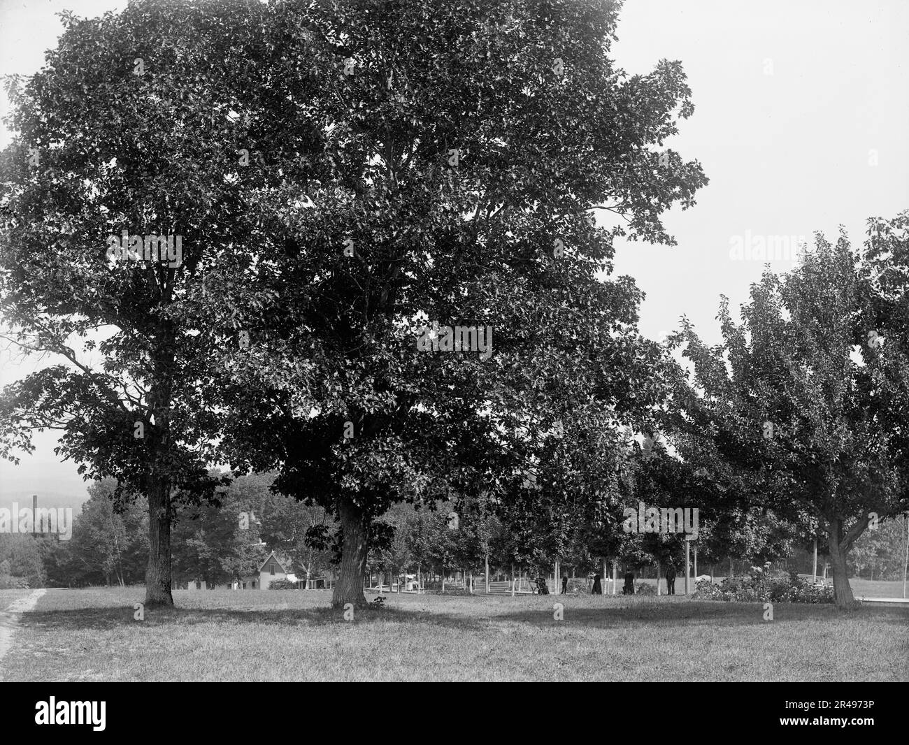 Poland spring androscoggin county maine united states hires stock