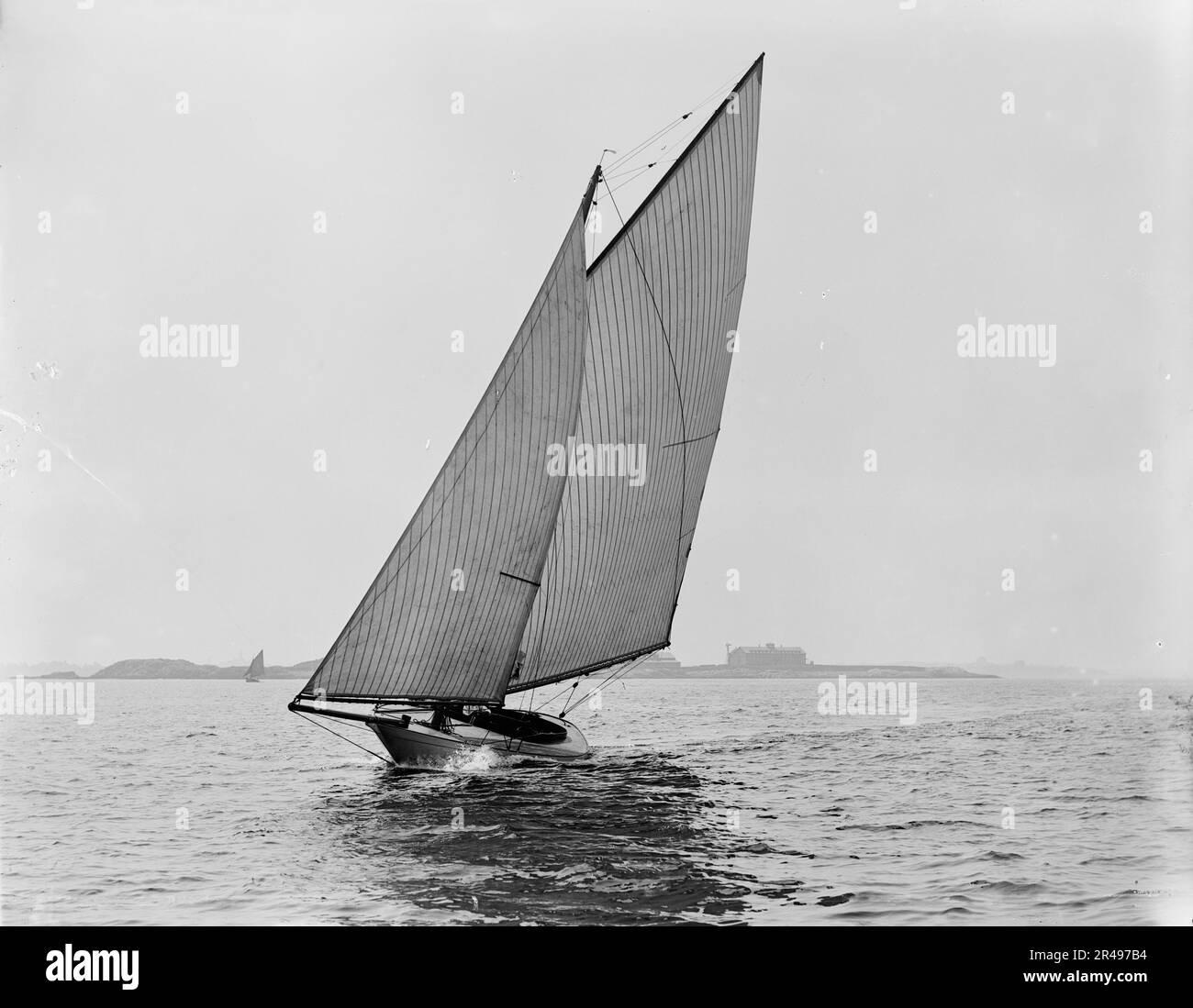 Thrush, 1892 Aug 13 Stock Photo - Alamy
