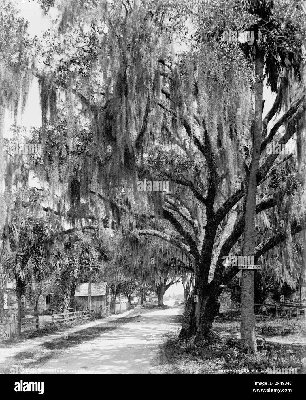 Bay Street, Dayton[a], Fla., between 1900 and 1906. Sign on tree: Daytona St. Stock Photo