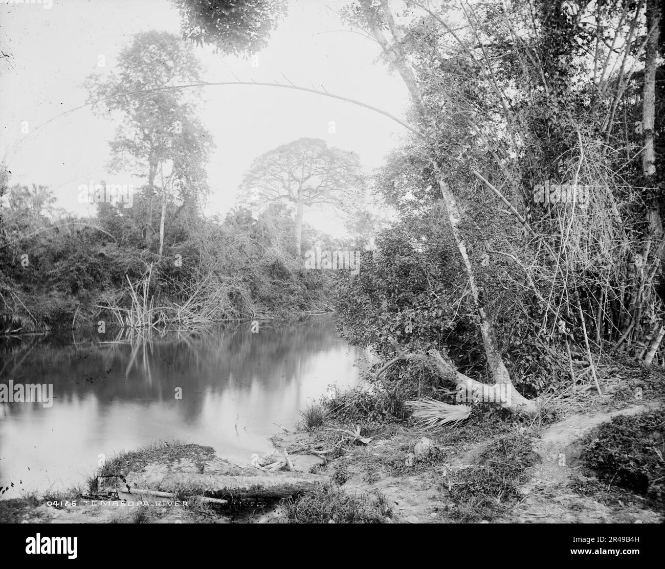 Temasopa (i.e. Tamasopo) River, between 1880 and 1897 Stock Photo - Alamy