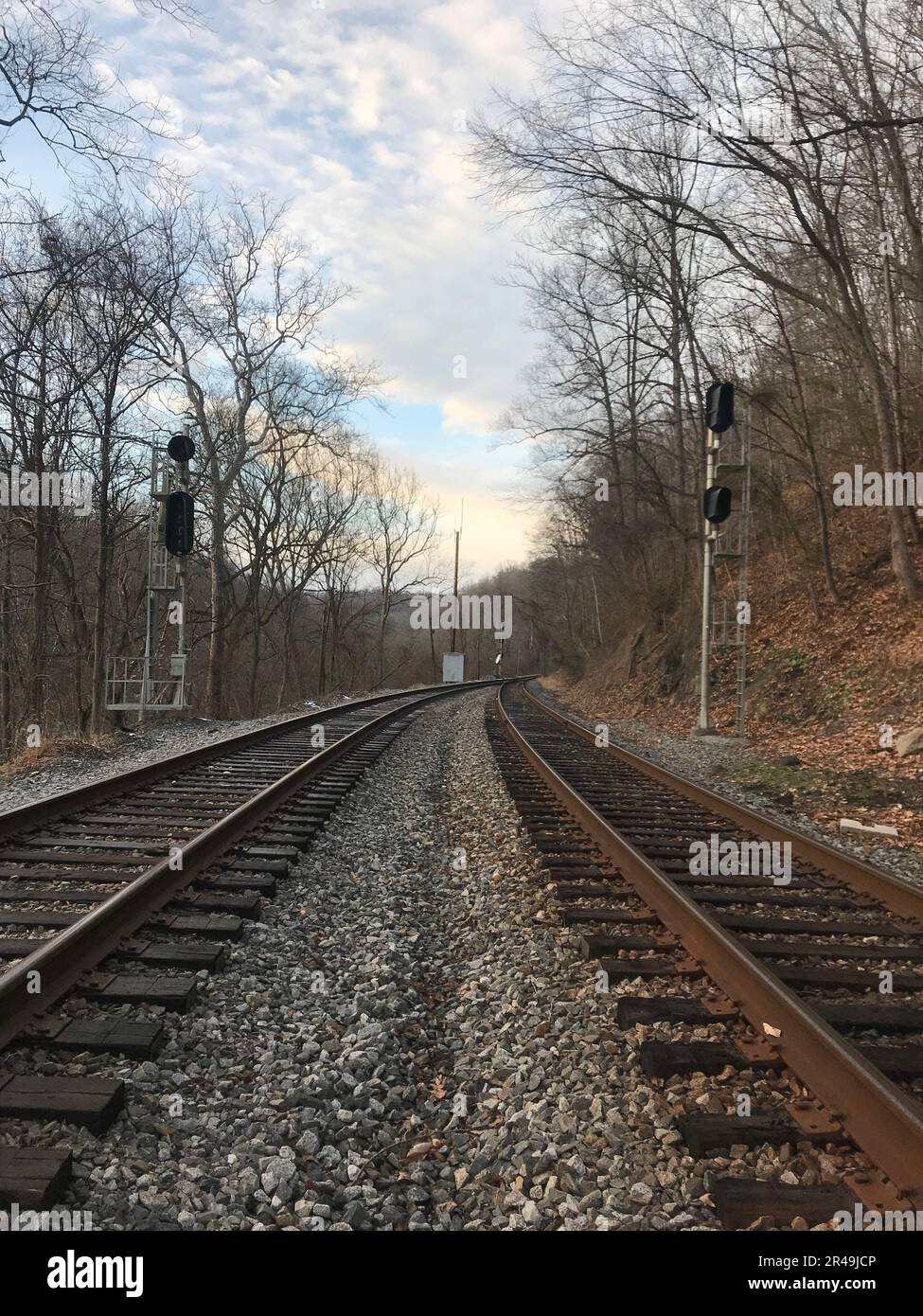 A scenic view of a railway crossing, featuring a single signal post set against a backdrop of lush trees and bushes Stock Photo