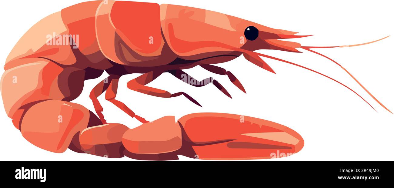 underwater shrimp illustration Stock Vector