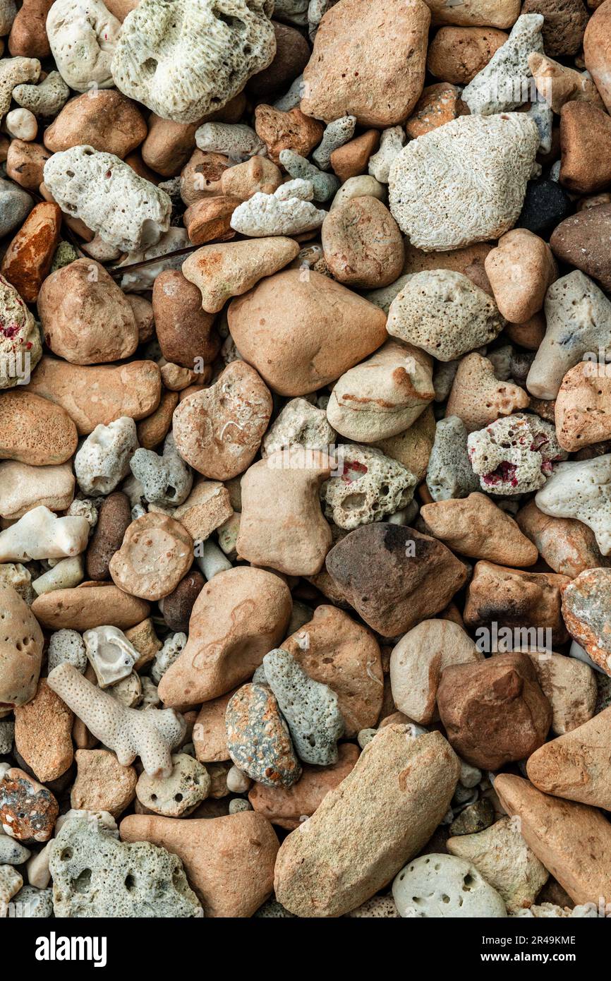 Beautiful gravel garden different hi-res stock photography and images ...