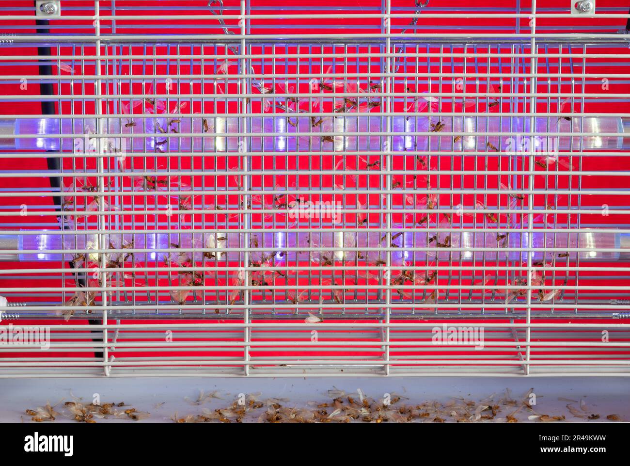 electric indoor mosquito and insect killer catching and killing lots of