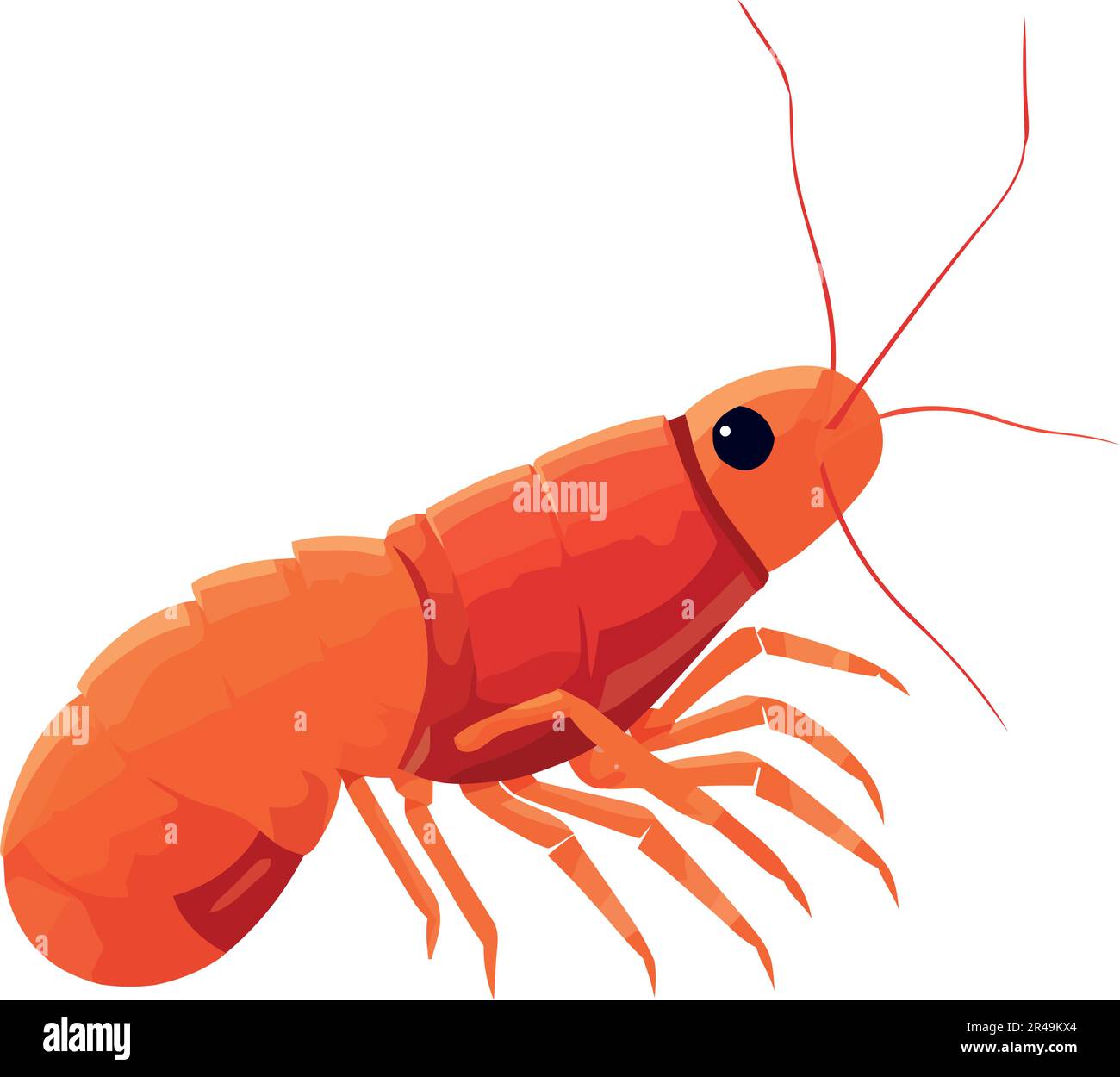 underwater shrimp design Stock Vector