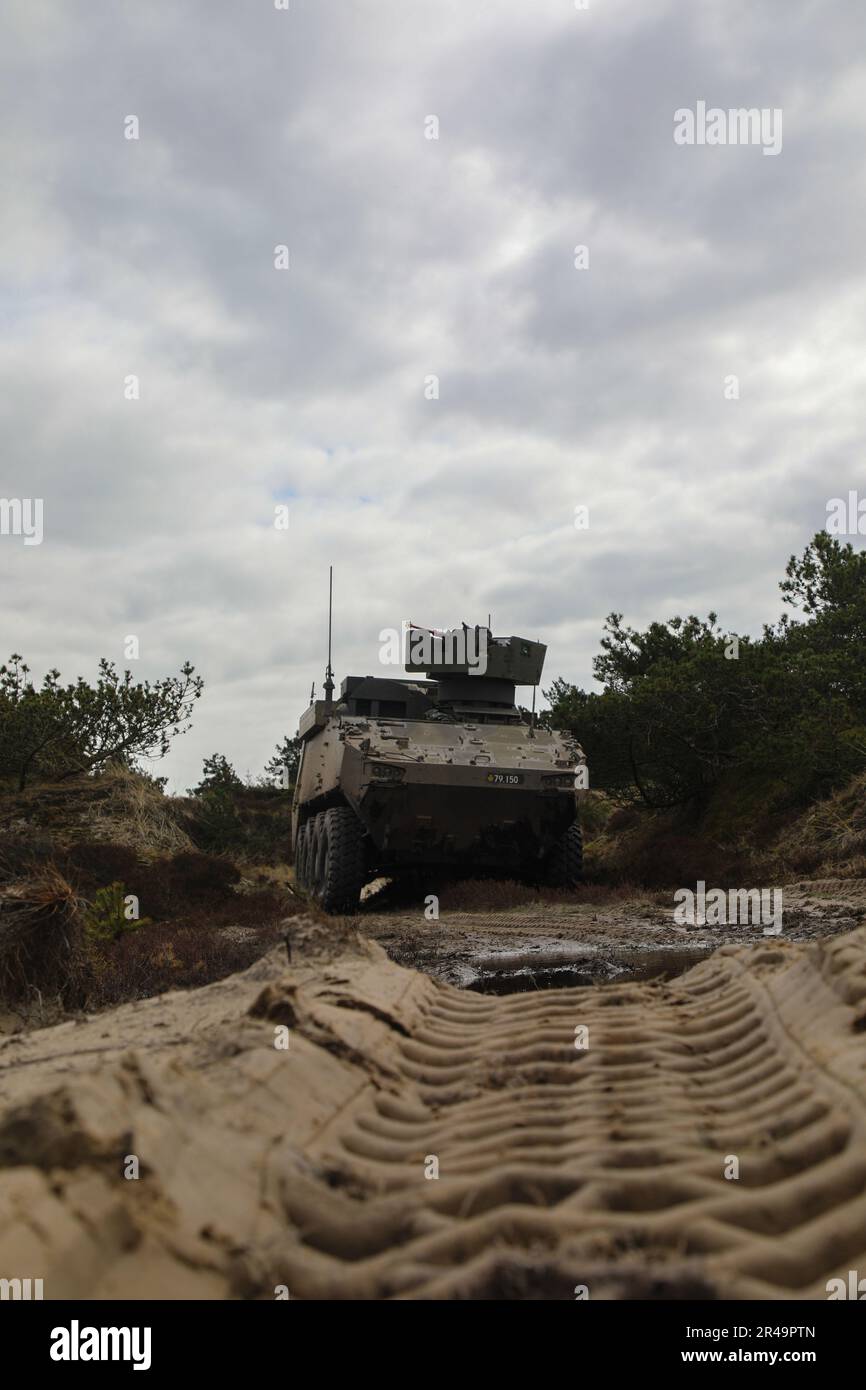 Danish soldiers assigned to the 1st artillery battalion conduct live