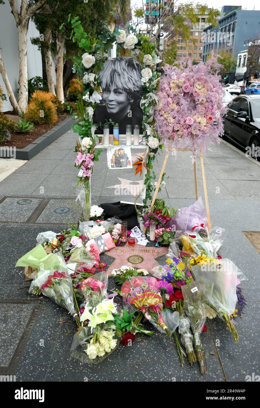 Los Angeles, California, USA 26th May 2023 Singer Tina Turner Hollywood  Walk of Fame Star with Flowers and Memorial on May 26, 2023 in Los Angeles,  California, USA. Photo by Barry King/Alamy