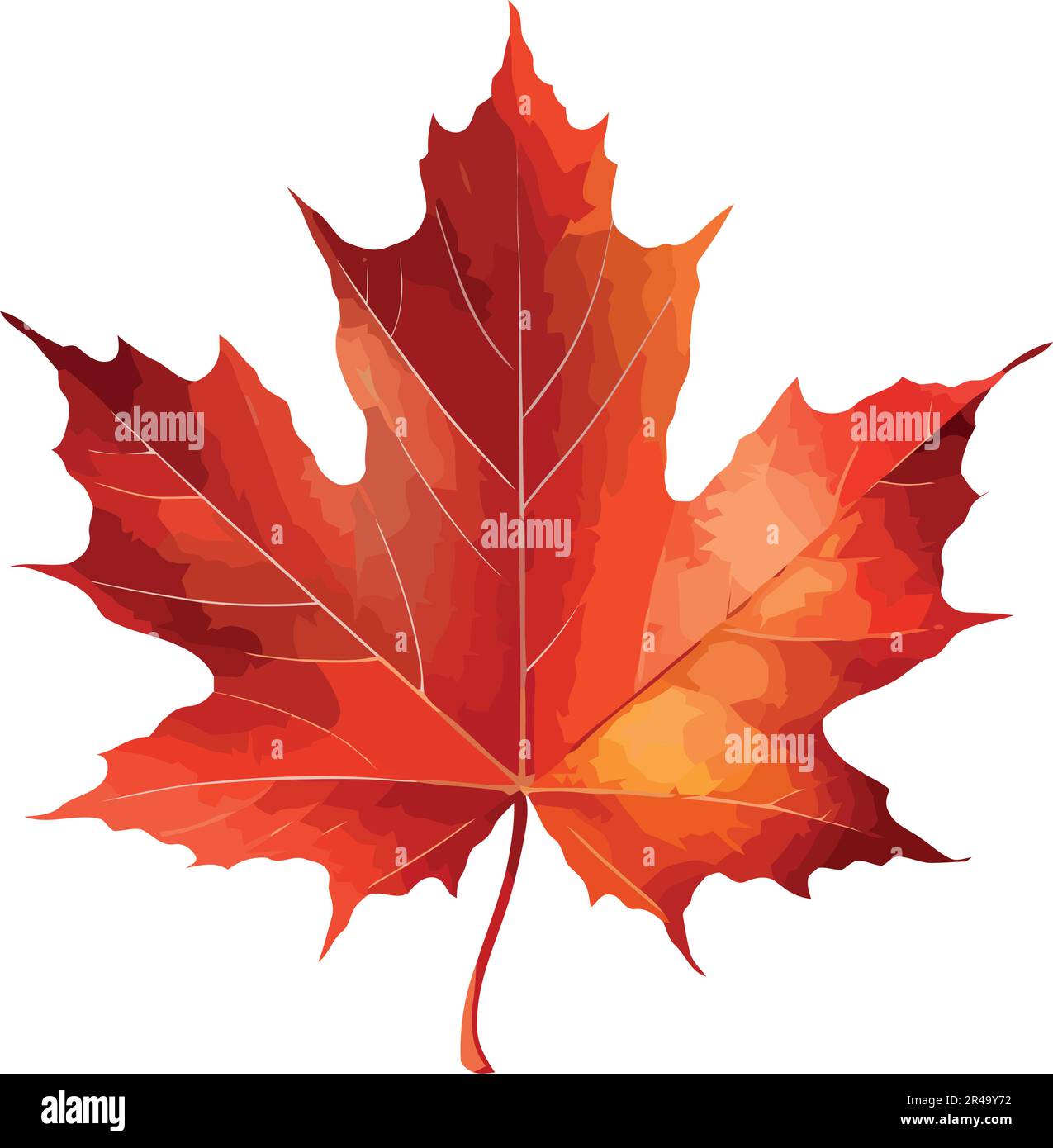 Red autumn maple tree leaf design Stock Vector Image & Art - Alamy