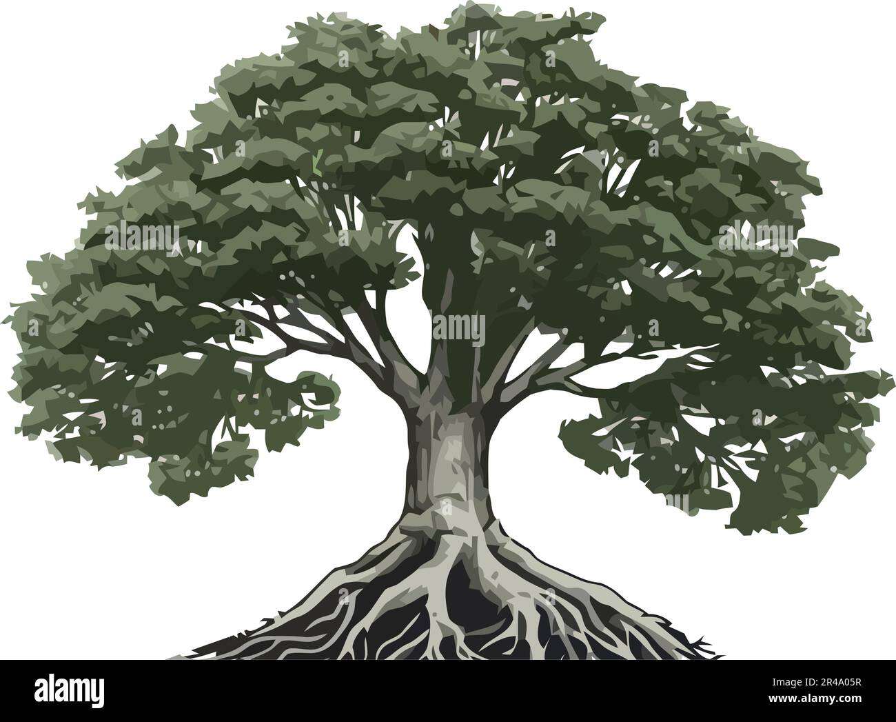 Big tree root green leaf Cut Out Stock Images & Pictures - Alamy