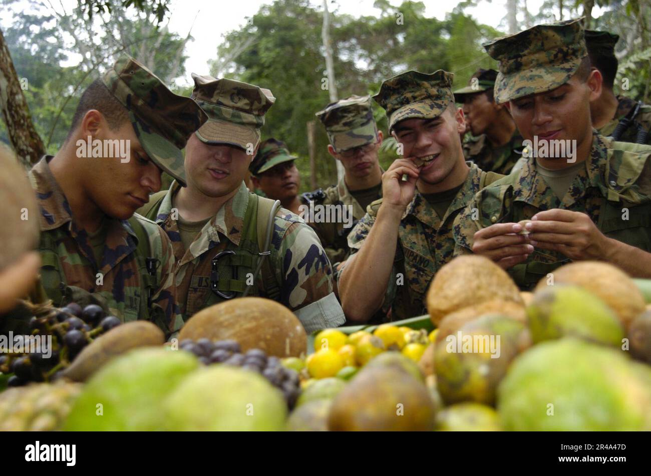 US Navy Peruvian Marines teaches U.S. and Latin American Marines jungle