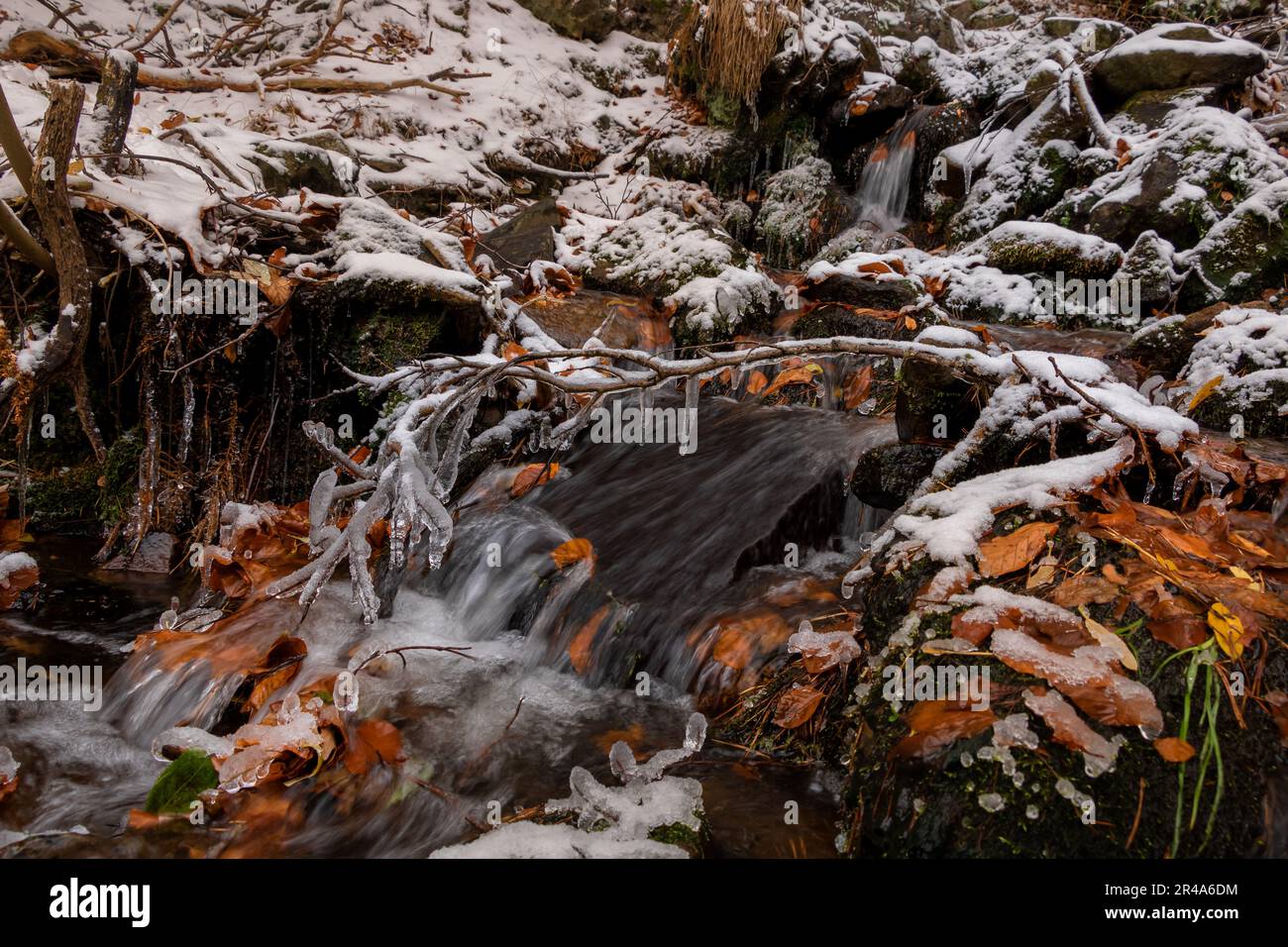 Small stream through forest hi-res stock photography and images - Alamy