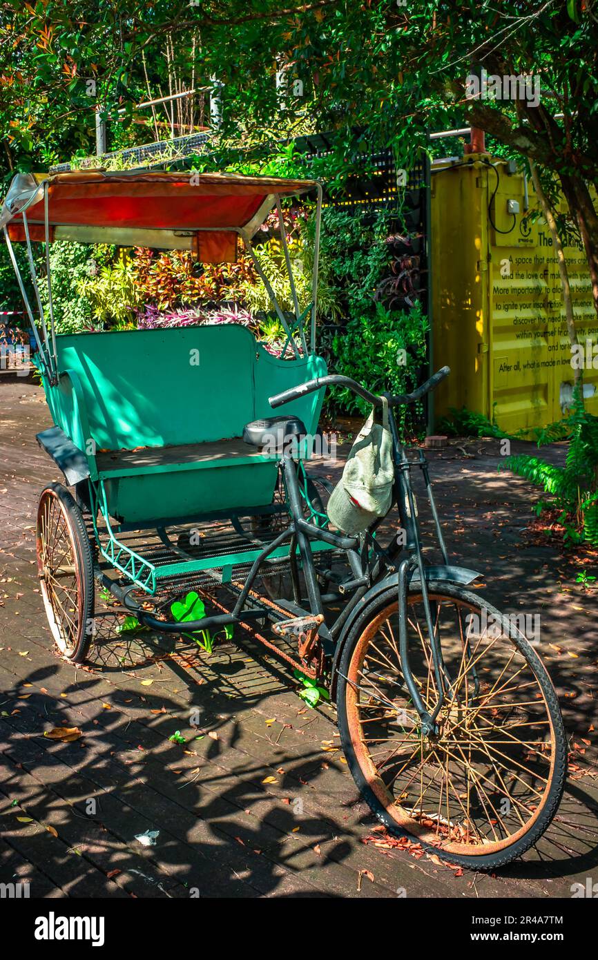 Old tricycle in a park, the three-wheeled “pedal rickshaws” featured here evolved from the two-wheeled rickshaw that was pulled by a man in Singapore. Stock Photo