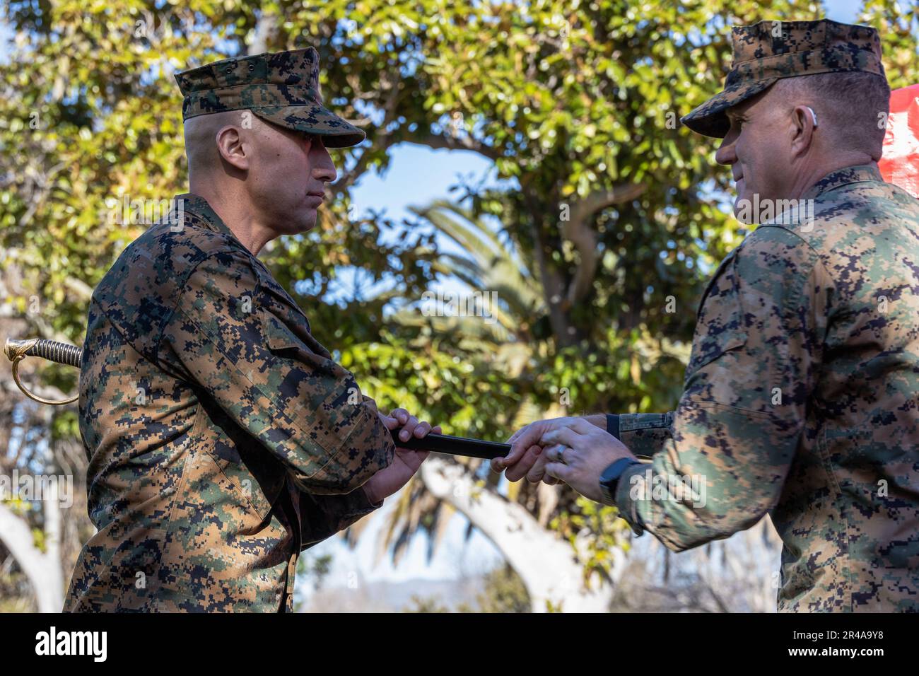 U.S. Marine Corps Sgt. Maj. Fausto H. Cabrera, the sergeant
