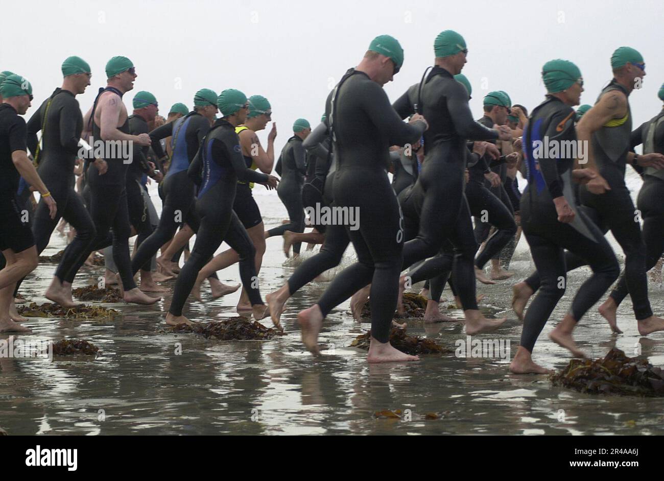 US Navy Superfrog Triathlon competitors run through the kelp toward the