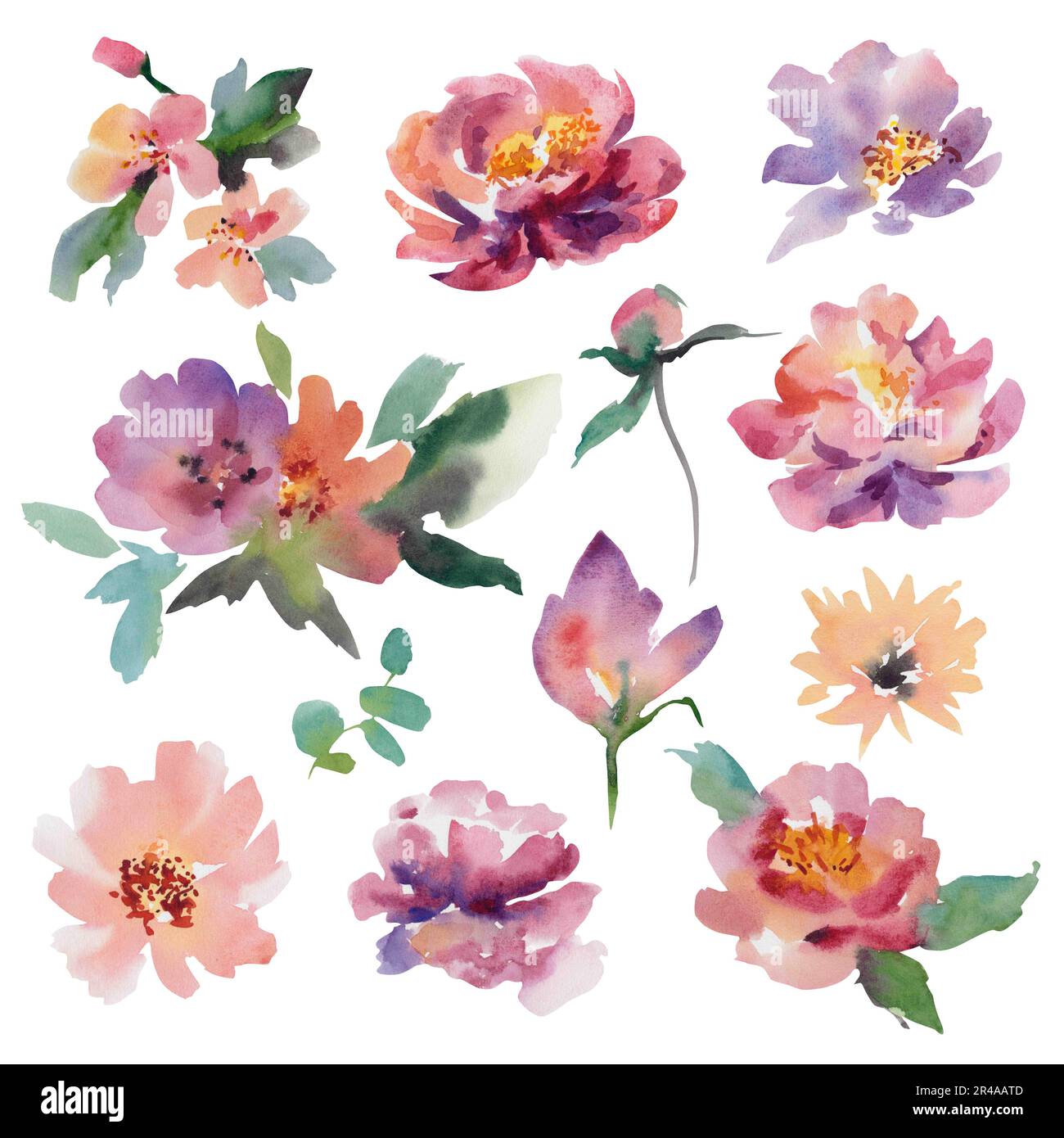 A set of watercolor flowers on an isolated background. Hand illustration. Peonies, anemones, eucalyptus, apple blossom. Wedding Stock Photo
