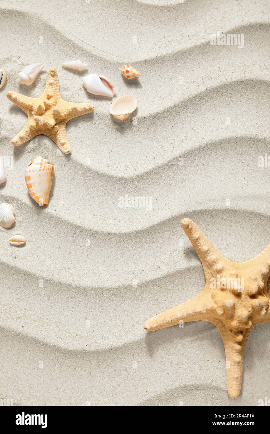 Starfishes and seashells on sand Stock Photo