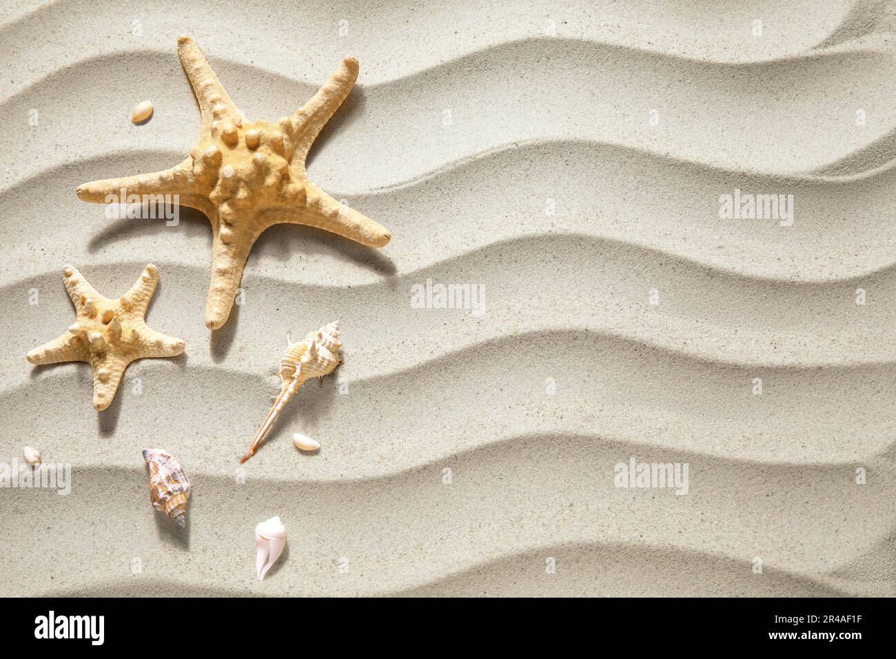 Starfishes and seashells on sand Stock Photo