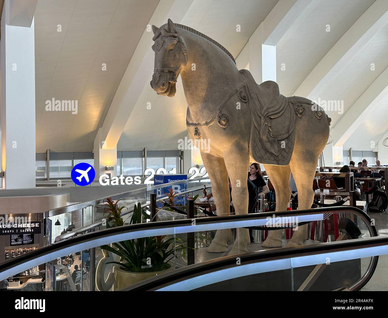 Pf changs horse hires stock photography and images Alamy