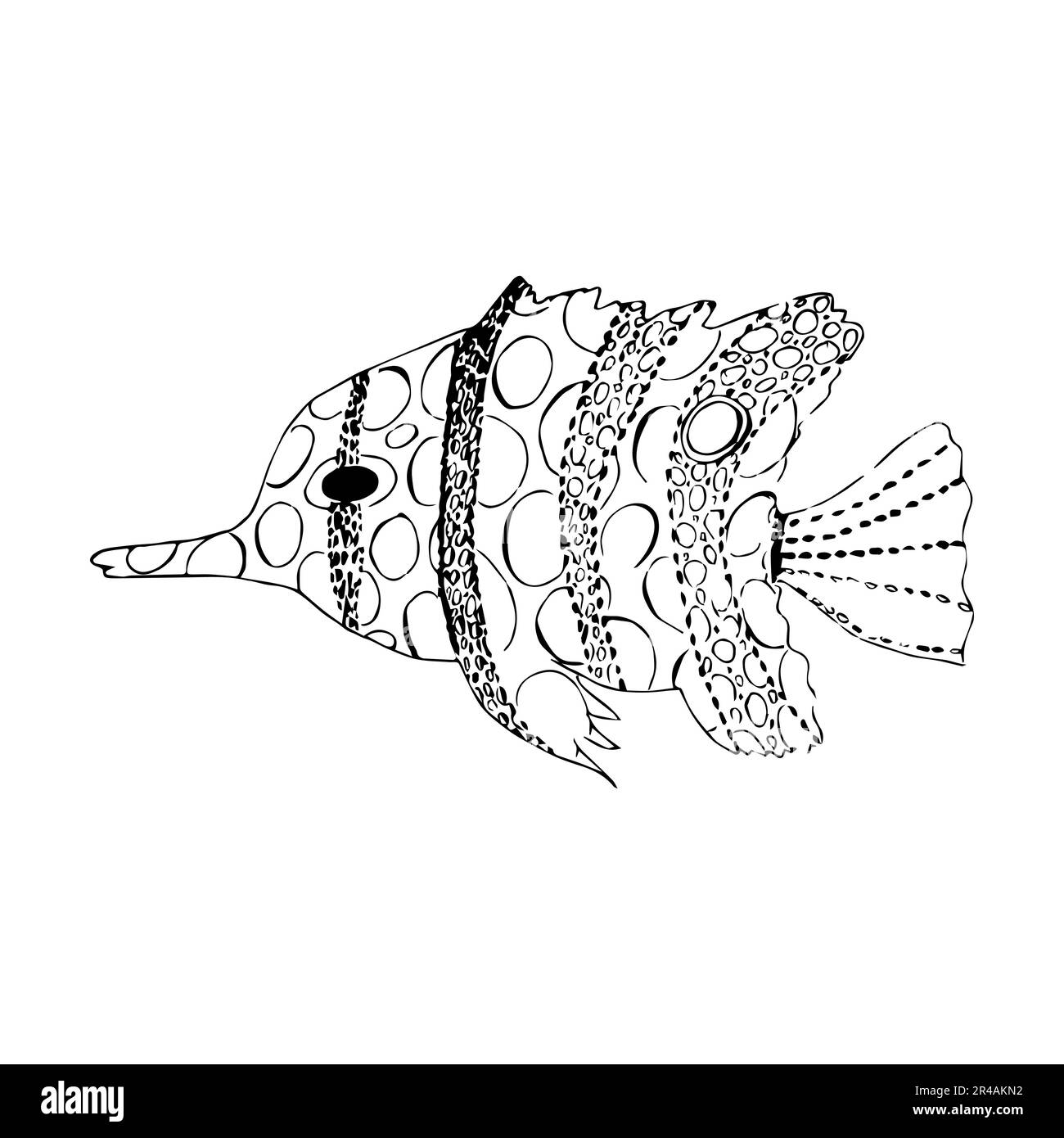 Hand drawn vector illustration of fish isolated on white background ...