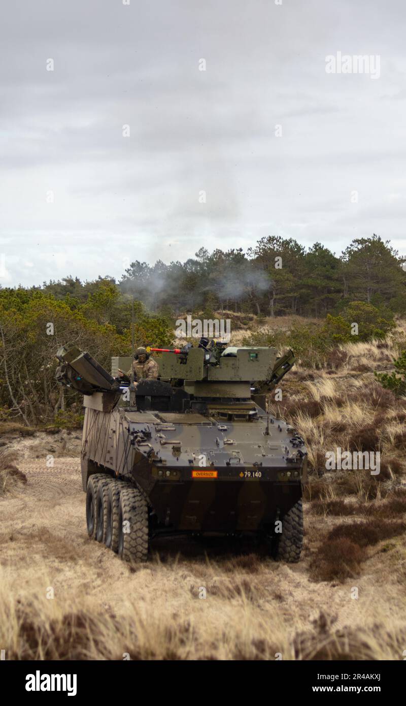 Danish soldiers assigned to the 1st artillery battalion conduct live